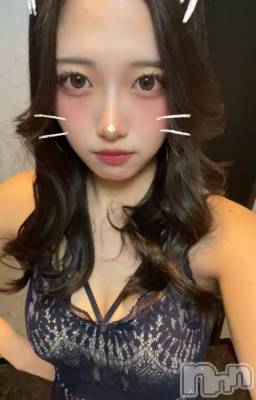 �����������Х��顦�����Blanc (�֥��) �椦����3��21���̥�֥�����🐩🎀✨��