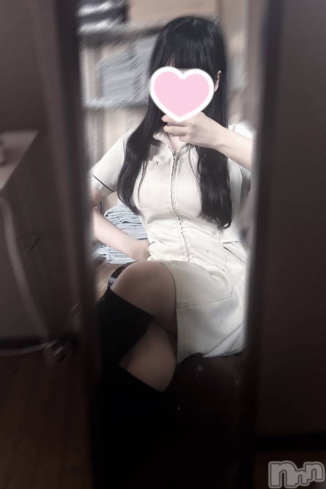 㡦ȯĥꥢ󥺥Levre(졼֥)  320̥֥ΰʽ