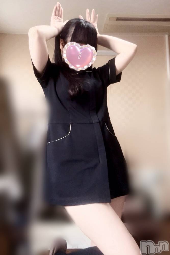 㡦ȯĥꥢ󥺥Levre(졼֥)  325̥֥֤⋯🐰💗