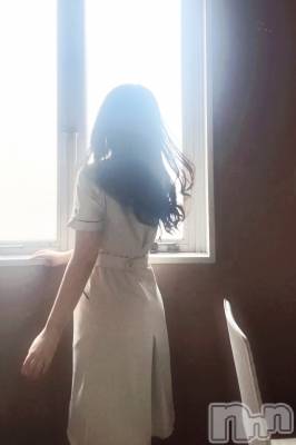 㡦ȯĥꥢ󥺥Levre(졼֥)  314̥֥դ