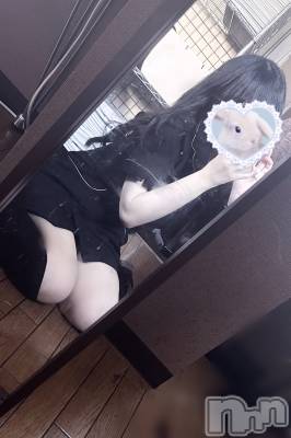 㡦ȯĥꥢ󥺥Levre(졼֥)  318̥֥֤ޤŷ❕🌸