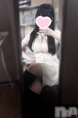 㡦ȯĥꥢ󥺥Levre(졼֥)  320̥֥ΰʽ