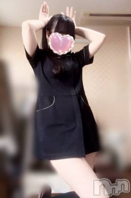 㡦ȯĥꥢ󥺥Levre(졼֥)  325̥֥֤⋯🐰💗