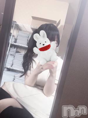 㡦ȯĥꥢ󥺥Levre(졼֥)  47̥֥֤Ӥκ