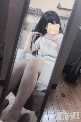 㡦ȯĥꥢ󥺥Levre(졼֥)  421̥֥֤ݤݤ