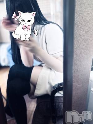 㡦ȯĥꥢ󥺥Levre(졼֥)  521ֲ̥֥Ƥ󡪡