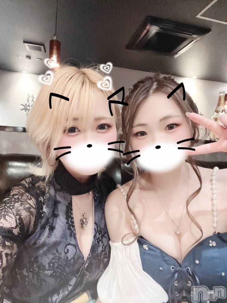 ��ë����Х��顦�����CLUB��Paladin(����֡��ѥ�ǥ���) ɰ�� ����7��9���̥�֥�����🐻ᩚ🫶��