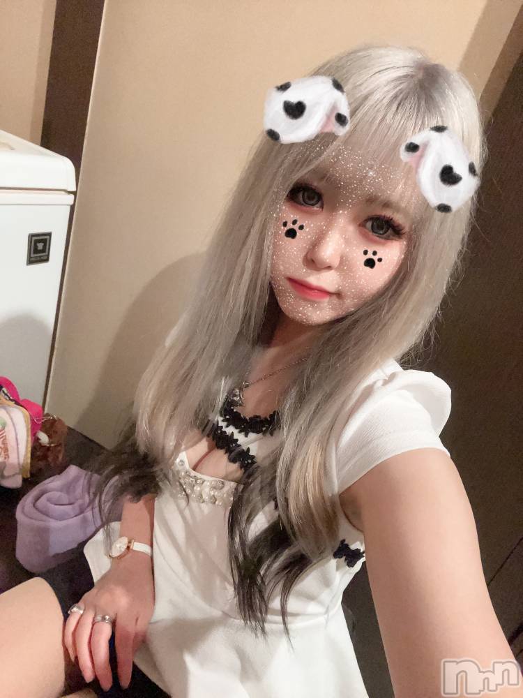 ��ë����Х��顦�����CLUB��Paladin(����֡��ѥ�ǥ���) ɰ�� ����10��17���̥�֥�����🦊🐾��