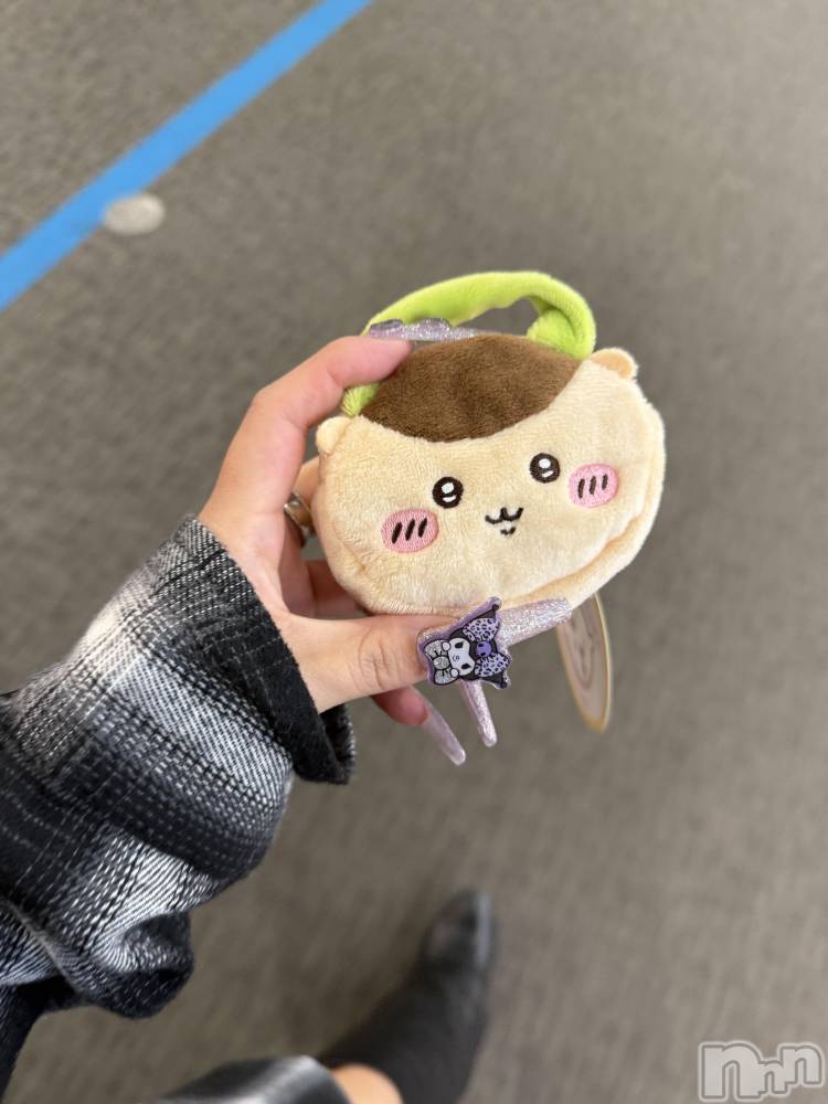 ��ë����Х��顦�����CLUB��Paladin(����֡��ѥ�ǥ���) ɰ�� ����11��1���̥�֥�����(🌰•᎑•🌰)��