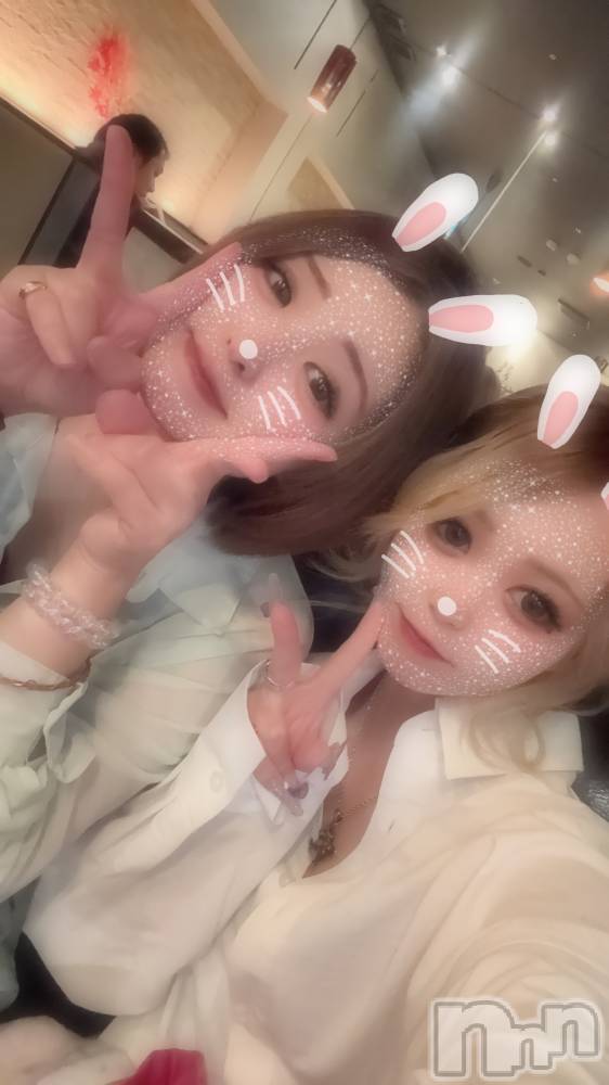 ��ë����Х��顦�����CLUB��Paladin(����֡��ѥ�ǥ���) ɰ�� ����11��14���̥�֥�����🐰ᩚ��