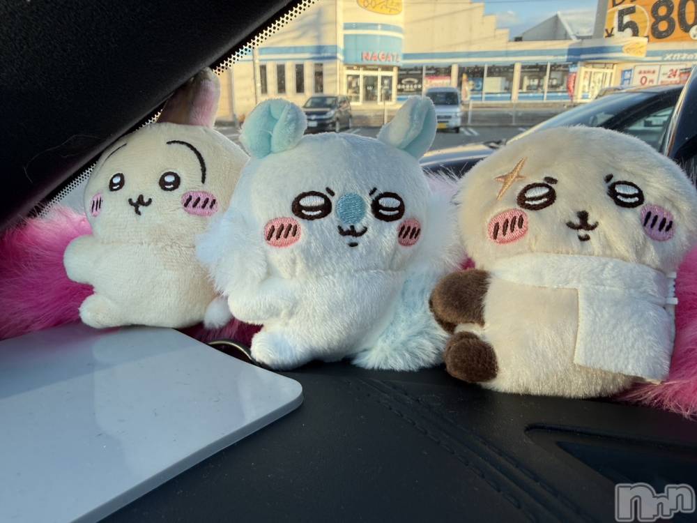 ��ë����Х��顦�����CLUB��Paladin(����֡��ѥ�ǥ���) ɰ�� ����3��18���̥�֥�����🐰꒰՞ᴑ̴̶̷̤́ᾥᴑ̴̶̷̤́՞꒱��