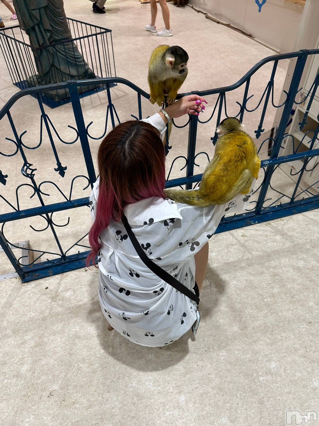 ��ë����Х��顦�����CLUB��Paladin(����֡��ѥ�ǥ���) ��2025ǯ3��22���̥�֥�����(;��T`)��