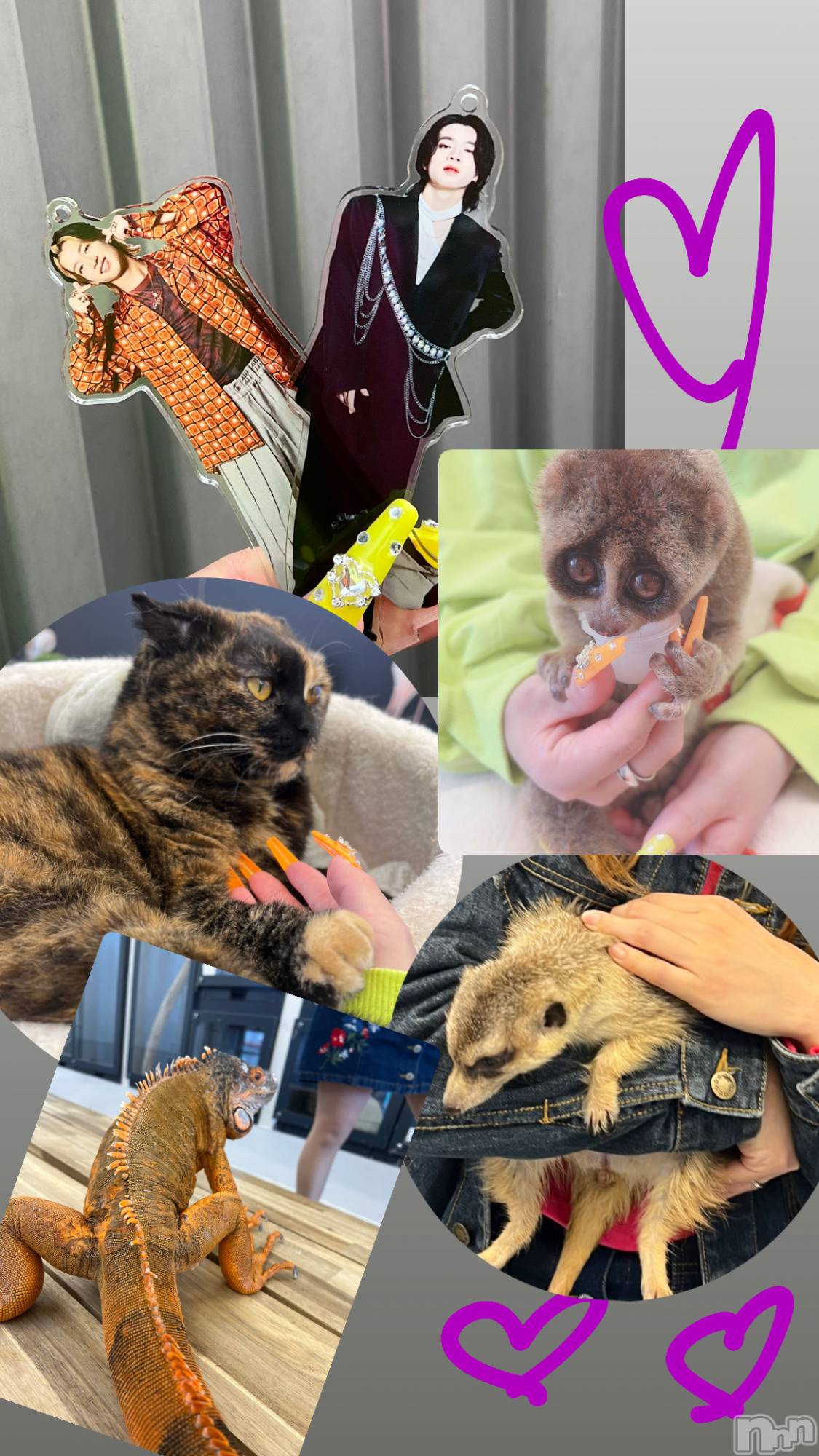 ��ë����Х��顦�����CLUB��Paladin(����֡��ѥ�ǥ���) ��2025ǯ4��12���̥�֥����ֿ䤷��🧡ᩚ��