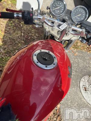 ��ë����Х��顦�����CLUB��Paladin(����֡��ѥ�ǥ���) ɰ�� ����3��9���̥�֥�����🏍³₃��