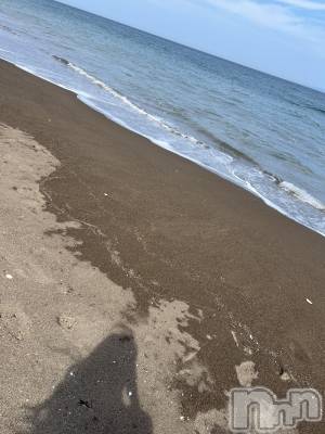 ��ë����Х��顦�����CLUB��Paladin(����֡��ѥ�ǥ���) ɰ�� ����6��29���̥�֥�����🌊��