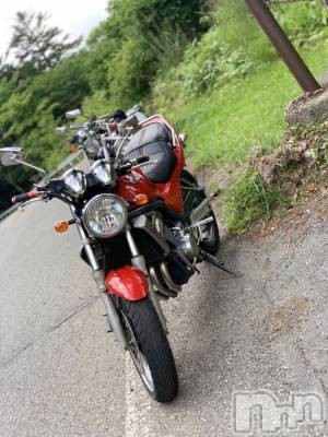 ��ë����Х��顦�����CLUB��Paladin(����֡��ѥ�ǥ���) ɰ�� ����7��2���̥�֥����ֺ����С�