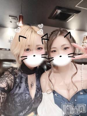 ��ë����Х��顦�����CLUB��Paladin(����֡��ѥ�ǥ���) ɰ�� ����7��9���̥�֥�����🐻ᩚ🫶��