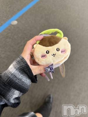 ��ë����Х��顦�����CLUB��Paladin(����֡��ѥ�ǥ���) ɰ�� ����11��1���̥�֥�����(🌰•᎑•🌰)��