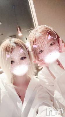 ��ë����Х��顦�����CLUB��Paladin(����֡��ѥ�ǥ���) ɰ�� ����11��12���̥�֥����֦�(���ء� )����