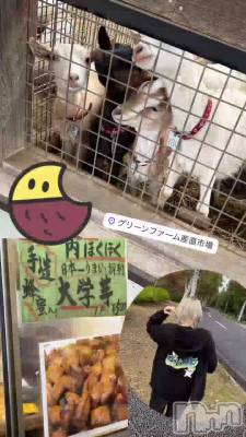 🐐( '-'  🐐)�Ԏ��ގ�����