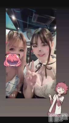 (�����������ء�����������)