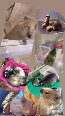 𐔌՞⁔•͈ ·̫ •͈⁔՞𐦯