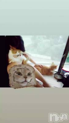 🐱ྀི🐱ྀི