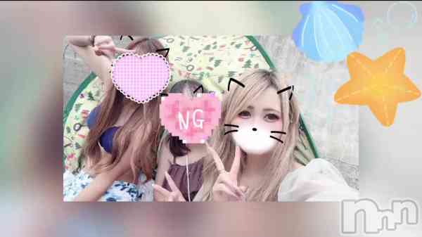 ��🌊🐬��