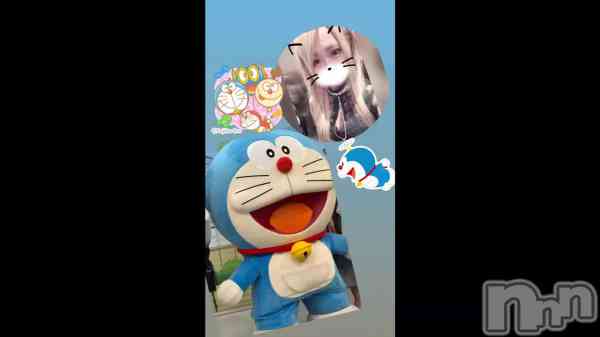 �֥ɥ館����