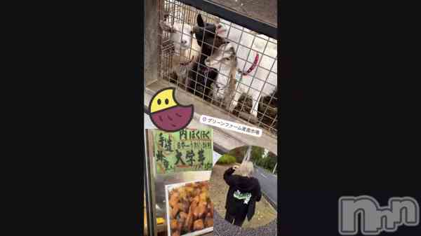 ��🐐( '-'  🐐)�Ԏ��ގ����ݡ�