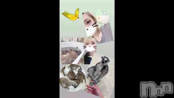 ��‪🦜‬🪽🫧��