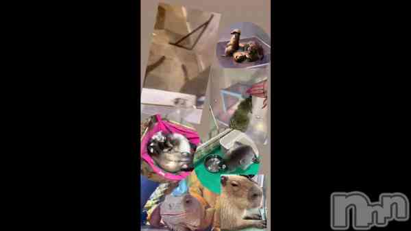 ��𐔌՞⁔•͈ ·̫ •͈⁔՞𐦯��