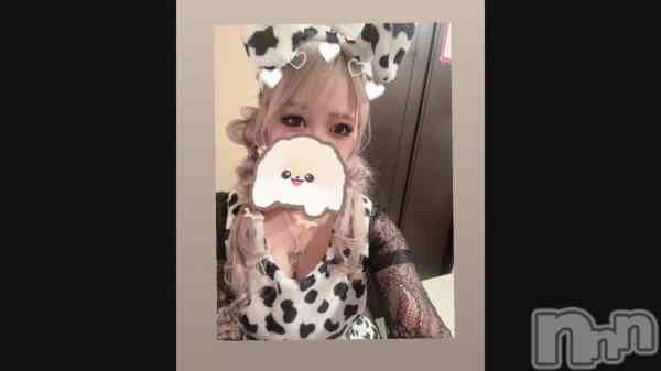 ��🎃🦇🕸��