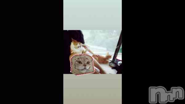 ��🐱ྀི🐱ྀི��