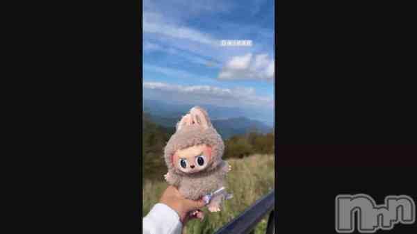 �������🐳��