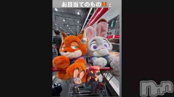 ��🦊🐰🧡ᩚ��