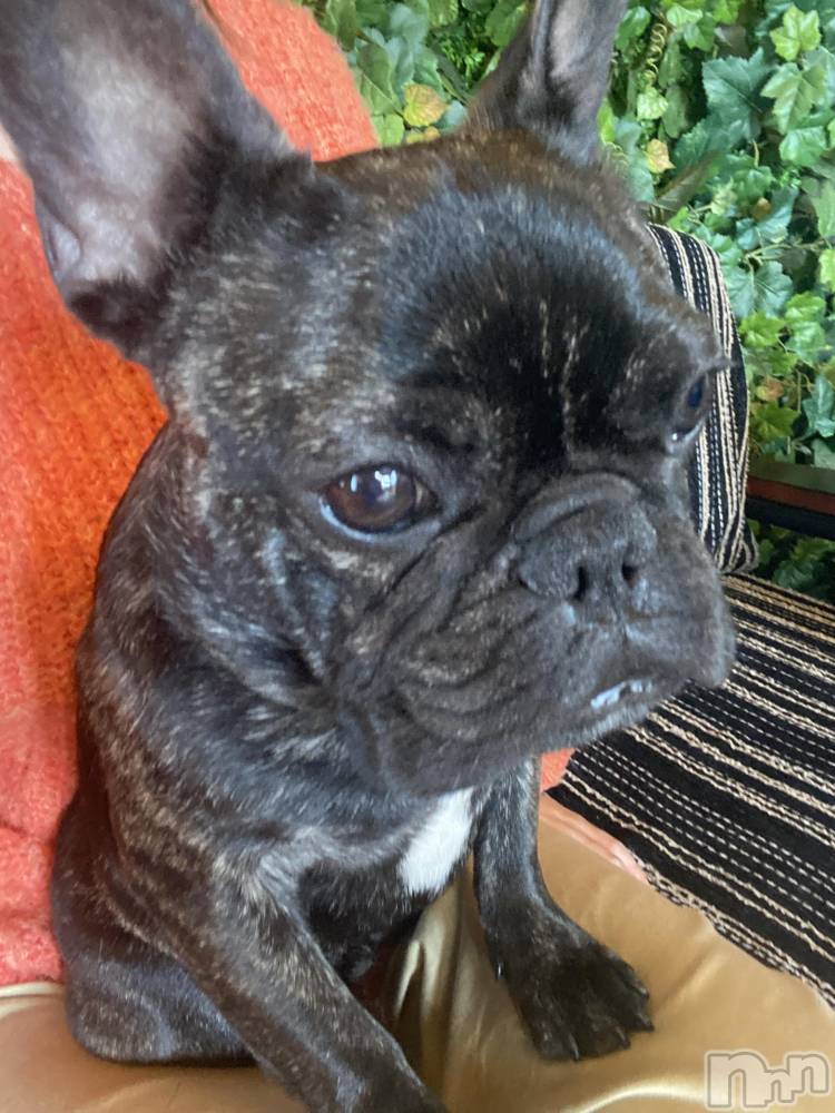 ��ˬ����Х��顦�����CLUB K����Prologue��(����֥���) �Ȥ�ߤ�5��12���̥�֥�����������Ǥ�����