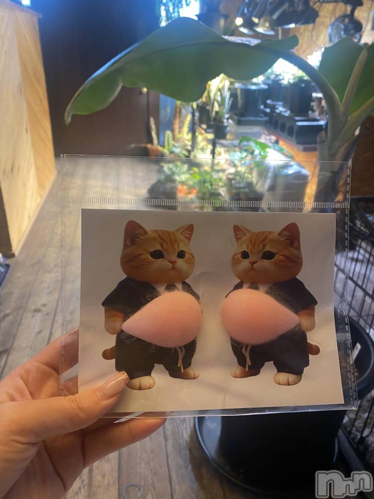 ��ˬ����Х��顦�����CLUB K����Prologue��(����֥���) �Ȥ�ߤ�3��8���̥�֥����֥����뽸��👋🏻��