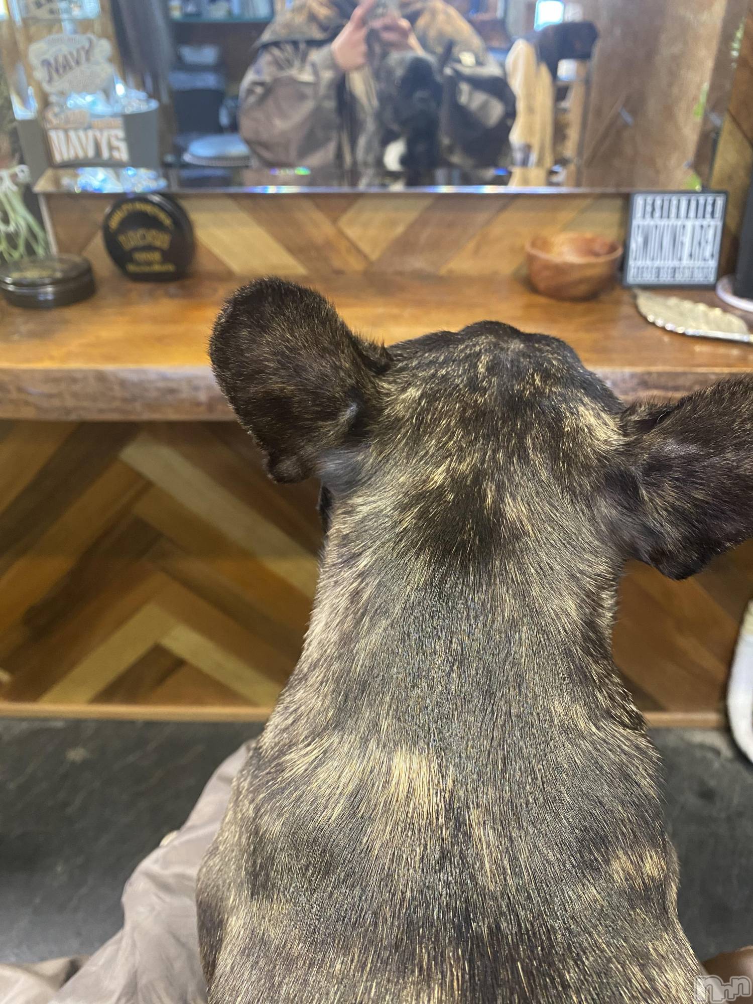 ��ˬ����Х��顦�����CLUB K����Prologue��(����֥���) ��2025ǯ4��16���̥�֥���������DAY✨��