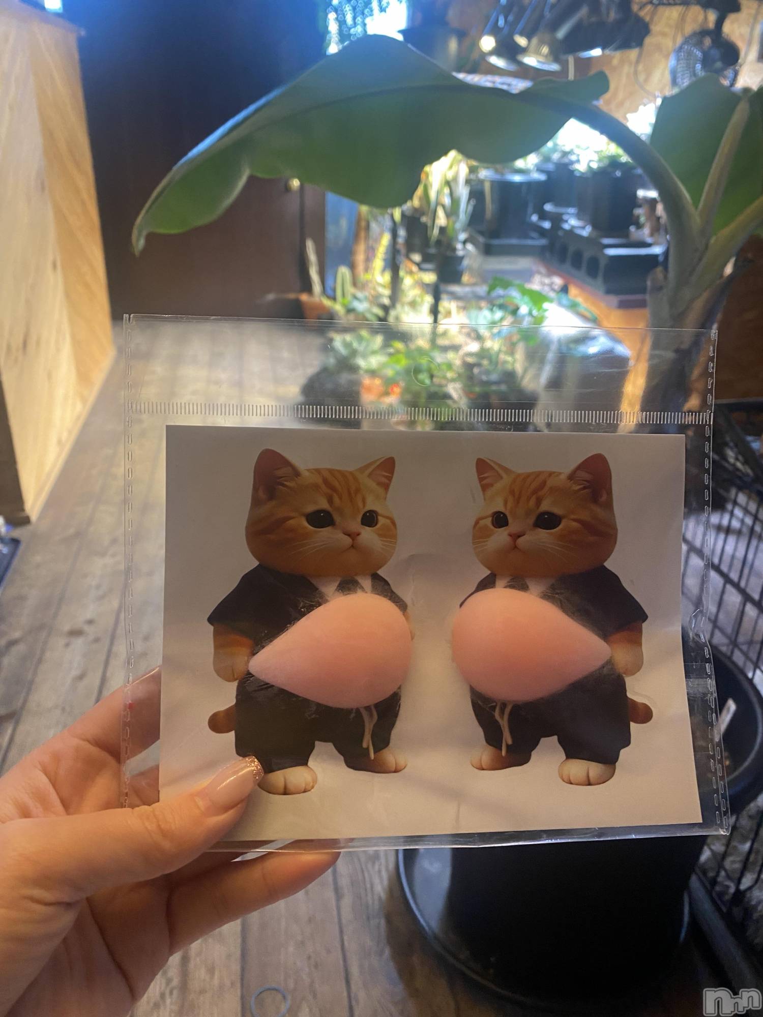 ��ˬ����Х��顦�����CLUB K����Prologue��(����֥���) ��2026ǯ3��8���̥�֥����֥����뽸��👋🏻��