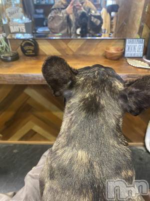 ��ˬ����Х��顦�����CLUB K����Prologue��(����֥���) �Ȥ�ߤ�4��16���̥�֥���������DAY✨��