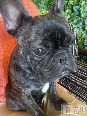 ��ˬ����Х��顦�����CLUB K����Prologue��(����֥���) �Ȥ�ߤ�5��12���̥�֥�����������Ǥ�����