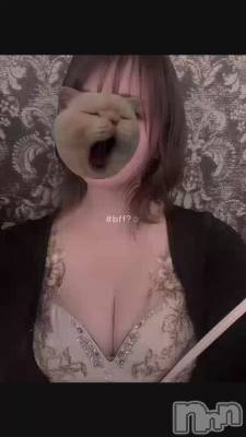 �ڶ⤸���‼️