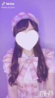 919 2026ʬư
