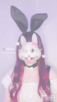 424 0053ʬư