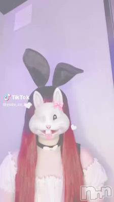 428 2025ʬư