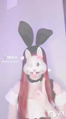 53 2028ʬư