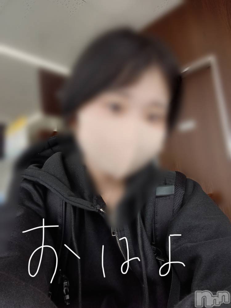 㡦ȯĥꥢ󥺥Ƥޤơ(ޥƥåȥ˥) 923̥֥֤Ϥ🥱