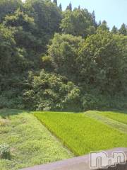 新潟メンズエステあろまえすて＠新潟(アロマエステアットニイガタ) 蒼＊あお(22)の8月3日写メブログ「来週の出勤予定🌻」