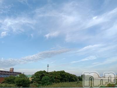 㡦ȯĥꥢ󥺥Ƥޤơ(ޥƥåȥ˥) (22)928ֽ̥֥☀️